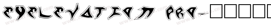 eyelevation pro字体转换